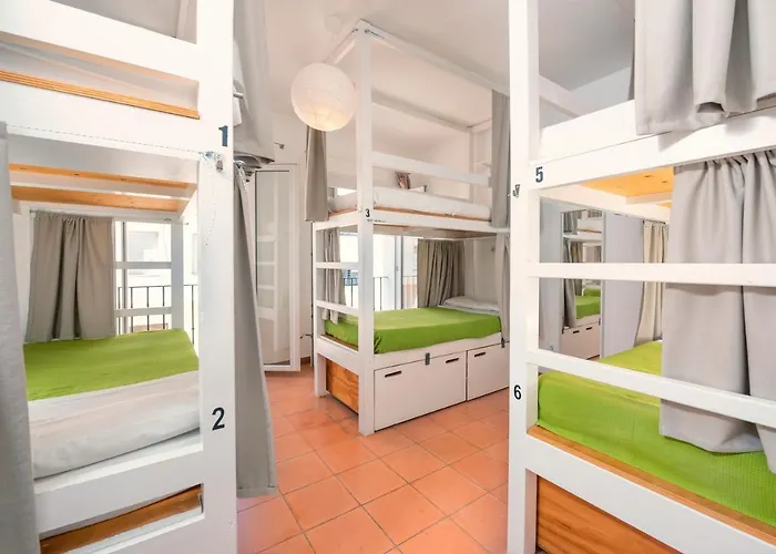 Hostel Kite